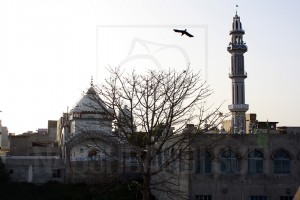NS-2013-APR-SHADPUR-046  